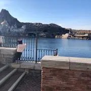 ありんこの画像
