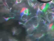 しろ