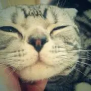 ちゃんみぃ