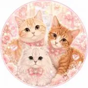 ぴぴ お値下げ可能⭕️の画像
