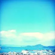 ゆりの画像