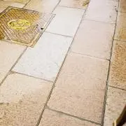 molの画像