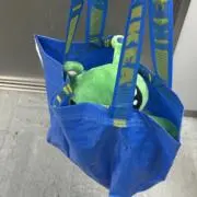 春野の画像