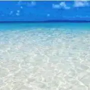 melon☆の画像