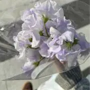 ぅの画像