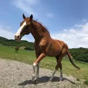 ななの画像