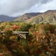 メロチャナの画像