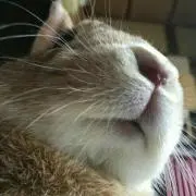 りおん◎プロフ必読