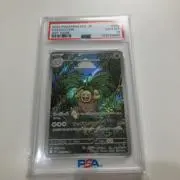 しぇるの画像