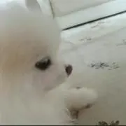 みかの画像