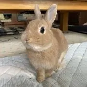 あゆ☺︎の画像