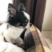 yoshida ※プロフ必読