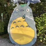 D-sunの画像
