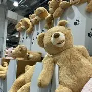 ミミミの画像