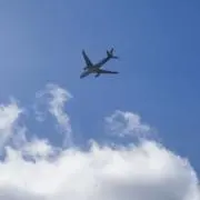 あゆの画像
