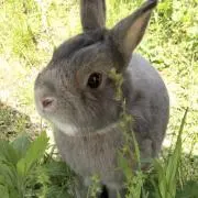 そら
