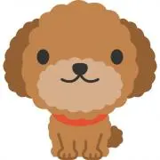 poochinの画像