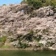 まさ