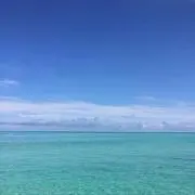 ゴウの画像