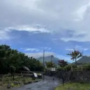 野菜の画像