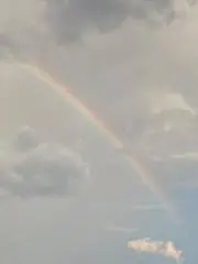 モカの画像
