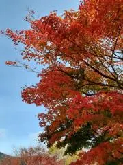 てんてん＊（プロフ必読）の画像