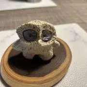 Tomの画像