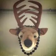 yonekoの画像