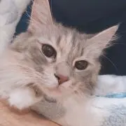 とらら♡