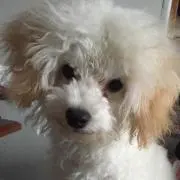 とも
