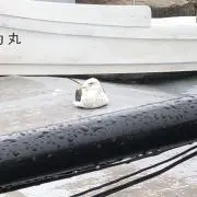 はるちゃんの画像