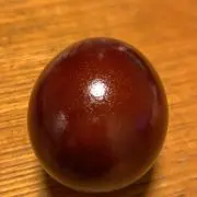 usamichanの画像