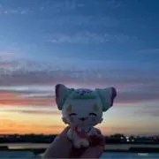 tuの画像