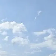 ゆ/プロフ必読の画像