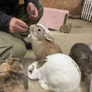 もぴ^_^まとめて購入-100円の画像
