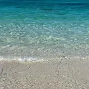 Sea shop★の画像