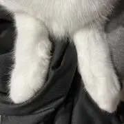 ゆんの画像