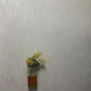 t.s.k