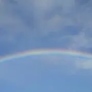 ふじポンの画像