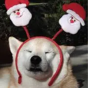 カズの画像
