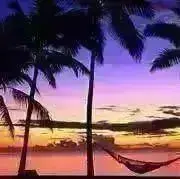 mako ♪フォロー割しています❣️の画像
