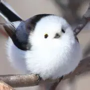 りの画像
