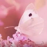 さぁちゃん*°♡の画像