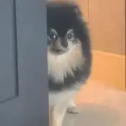 me