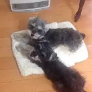 ひろみん