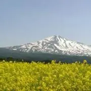 Kanaの画像