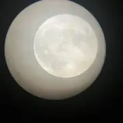 zの画像