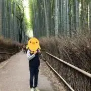 もっちゃんの画像