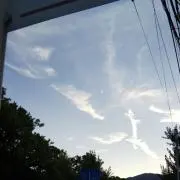 沙