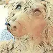 ハンドメイドshop エイトムの画像
